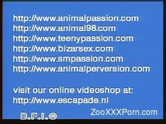 Great bestiality banging action with zoophilia-addicted slut