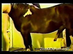 Sexy pony and slutty zoophil slut banging in the barn