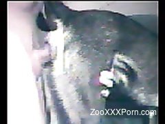 Male zoophil fucks with submissive trained doggy!