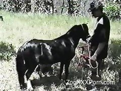 Dirty outdoor farm bestiality with small black pony