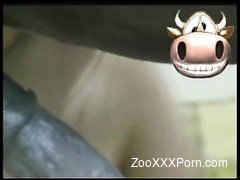 Beauty enjoying farm bestiality with giant black dick