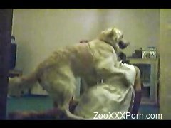 Playful doggy is having an awesome zoophilic host