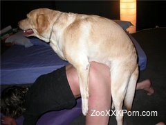 Labrador humps woman in crazy home zoophilia show