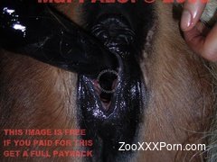 Rough animal porn toy xxx along woman in need for sex