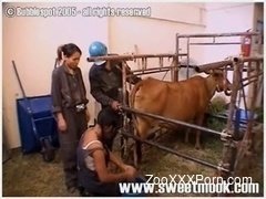 Elegant oriental cutie gives a good rimjob for a farm animal