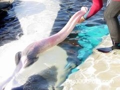 This ocean beast has an extremely massive pipe